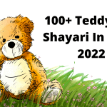 100+ Teddy Day Shayari In Hindi 2022